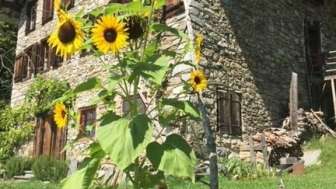 Maison de vacances Rauft