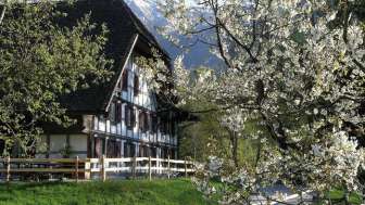Alter Bären Inn