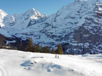 Unterwegs in der verschneiten Landschaft bei sonnigem Wetter mit den Schneeschuhen. Der Schneeschuhtrail in Mürren bietet eine einmalige Sicht auf Eiger, Mönch und Jungfrau.