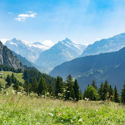 Schynige Platte