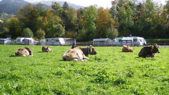Camping Hofstatt-Derfli