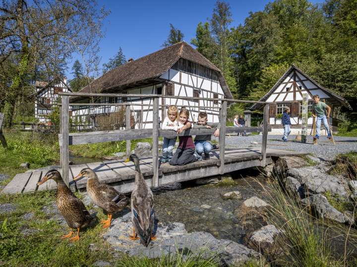 Ballenberg – Freilichtmuseum der Schweiz