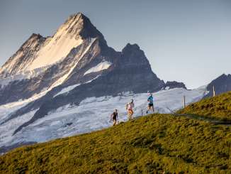 Trail Running in Grindelwald