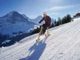 Velogemel Grindelwald