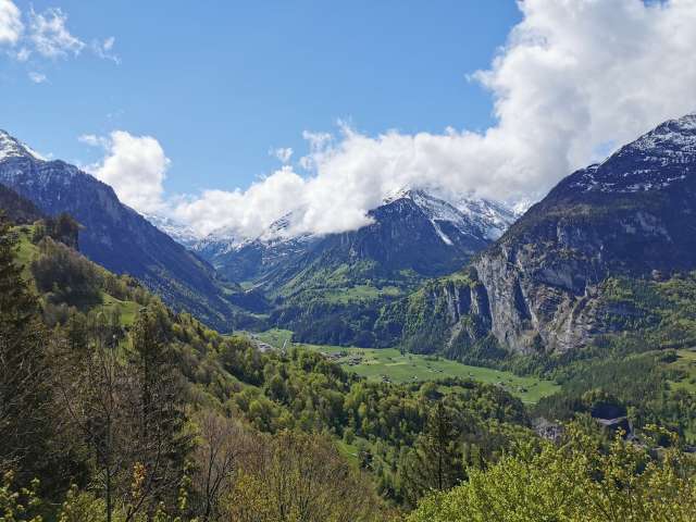 Promising islands in a sea of forest