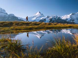 Wanderung beim Bachalpsee, mit verschneitem Schreckhorn im Hintergrund.