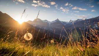 Bussalp