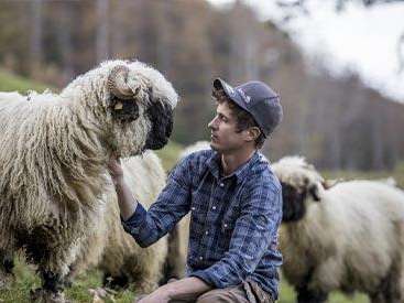 50% discount: Guided tour Wollreich