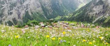 The car-free mountain village of Gimmelwald, photographed from a summer flower meadow.