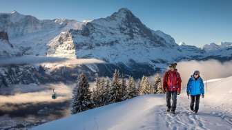 Winter hikes