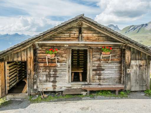 8 Random Schweizer Fakten