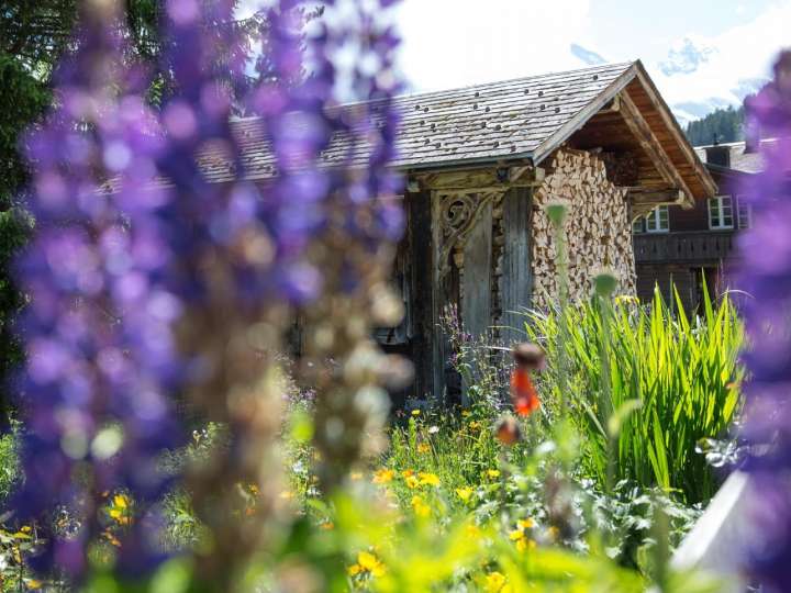 Historical village tour Mürren