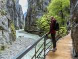 La passerelle dans les gorges de l'Aar longe la falaise, légèrement au-dessus de l'eau. C'est le printemps et l'atmosphère est un peu pluvieuse.