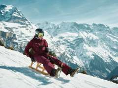 Eine Person fährt mit einem Schlitten den Bob Run in Mürren hinunter. Im Hintergrund sorgt die imposante Jungfrau zusammen mit der verschneiten Berglandschaft für eine eindrucksvolle Winterkulisse.