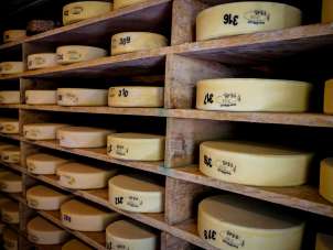 Alpine cheese aged on the Grosse Scheidegg in Grindelwald.
