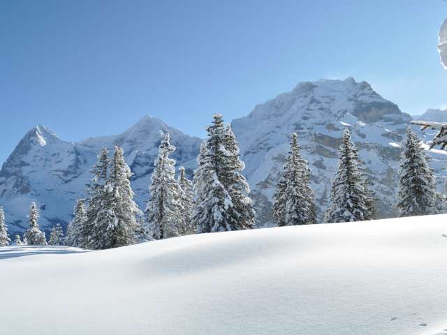 Medizinisches Angebot