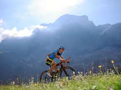 Un cycliste parcourt le parcours cycliste menant à Mürren devant un panorama montagneux estival.