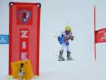 Skiers in the Inferno Race in winter, in full action.