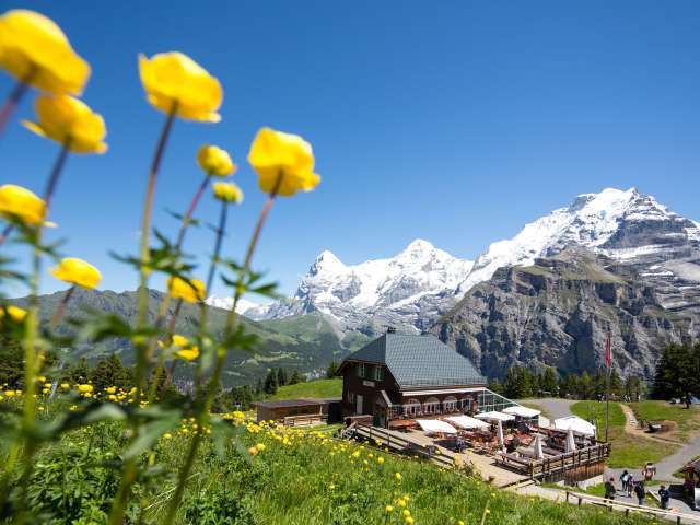 Mürren - Allmendhubel avec Flower Trail