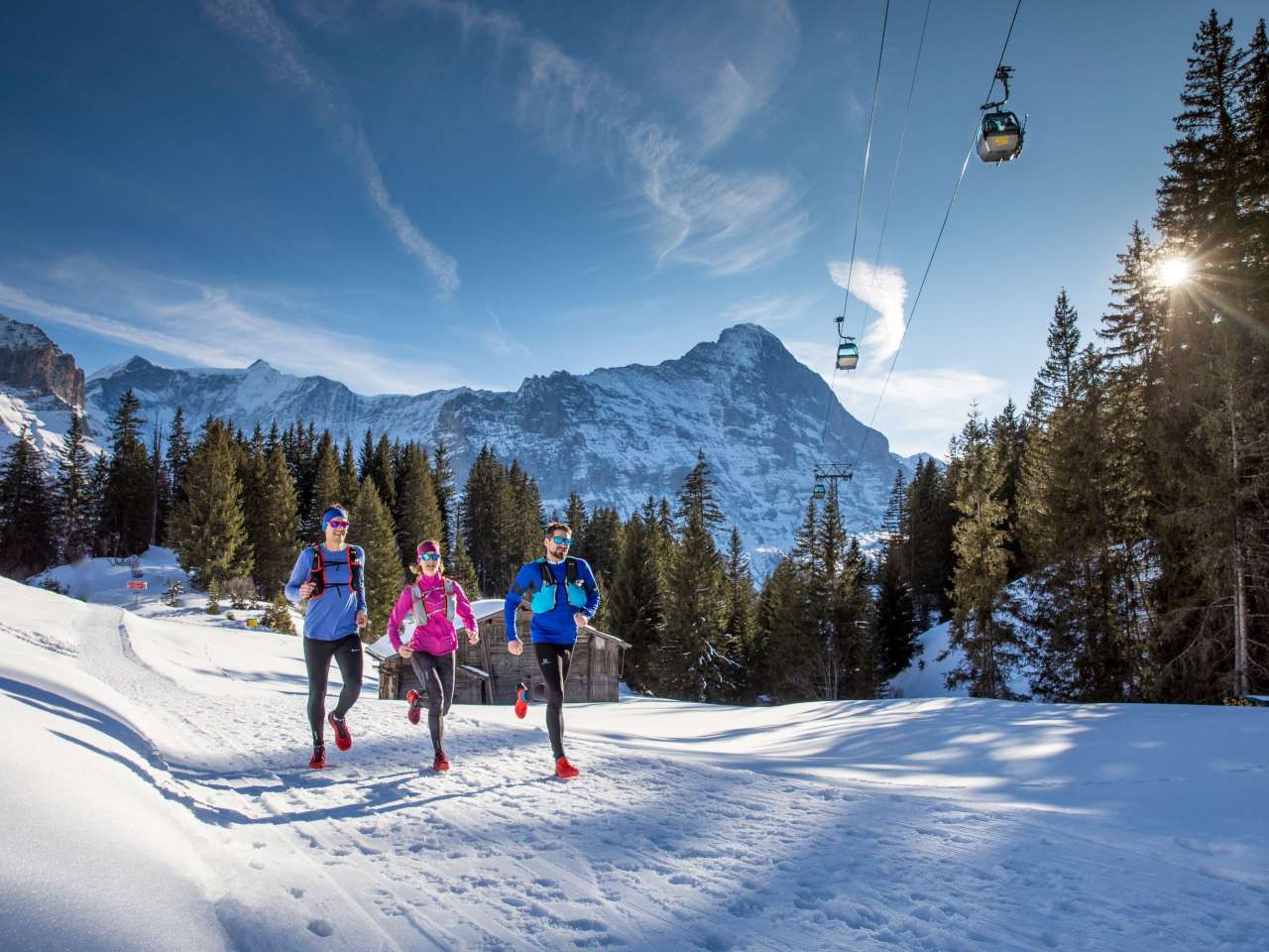 Trail running d'hiver