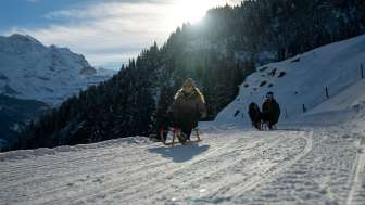 Sledding and Velogemel riding