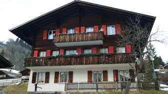 Alpenlilie