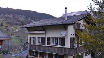 Halteli