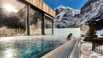 Hotel Spinne