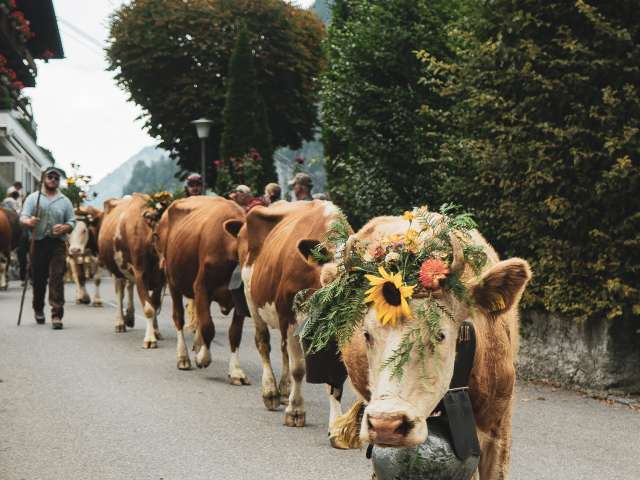 Calendrier des événements