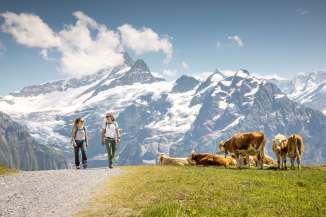 Wandern Bachalpsee