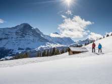 Winterwanderung auf verschneiten Winterwanderwegen rund um Grindelwald. Die Wanderer geniessen den sonnigen Tag und imposanten Ausblick auf den Eiger.