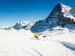 Skifahren im Skigebiet Grindelwald-Wengen auf der Kleinen Scheidegg.