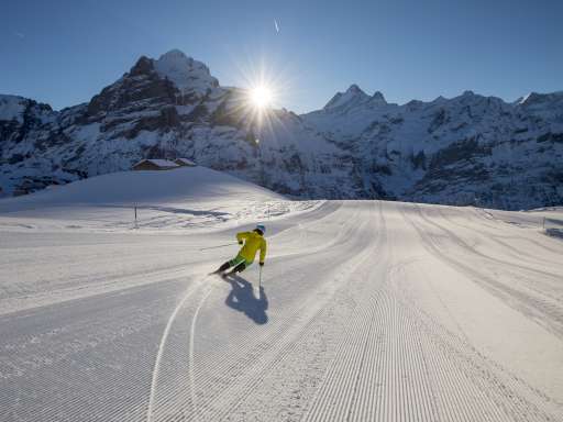 Jungfrau Ski Region – mehr Piste geht nicht