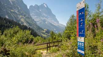 Parcours vita