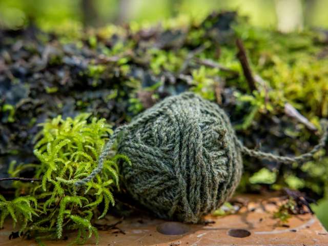 Land Art Festival Grindelwald