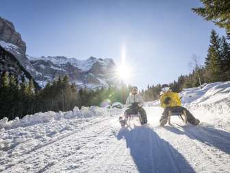 Zwei Personen schlitteln Richtung Schwarzwaldalp, während die tief stehende Sonne lange Schatten über den Schnee wirft. Im Hintergrund sind Bäume und das schneebedeckte Wetterhorn sichtbar.