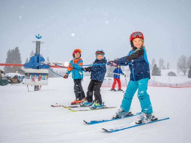 Skihäsliland Bidmi