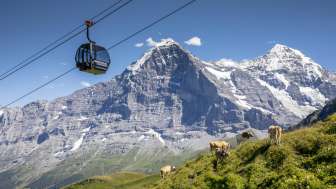 30% Rabatt: Gondelbahn Grindelwald-Männlichen 
