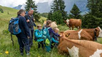 Cow Trails & Delights