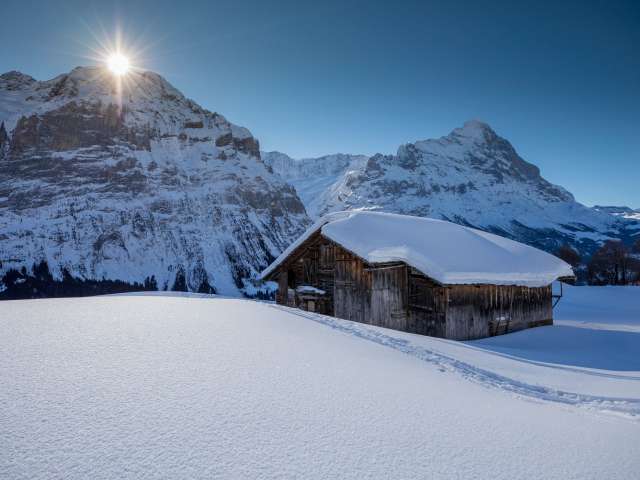 Stellenportal Grindelwald