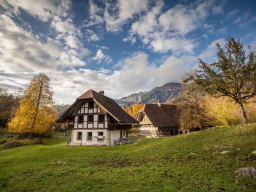 Museen der Jungfrau Region