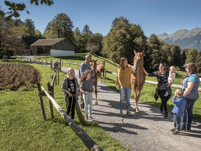 25% de réduction: Entrée au musée en plein air de Ballenberg 
