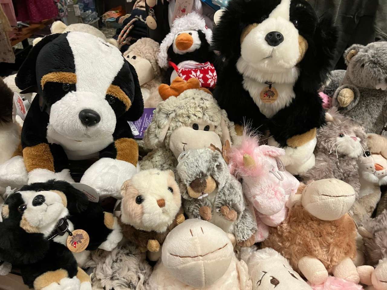 20% discount: Stuffed animals at Susan's Gschenk- und Mode-Budigg