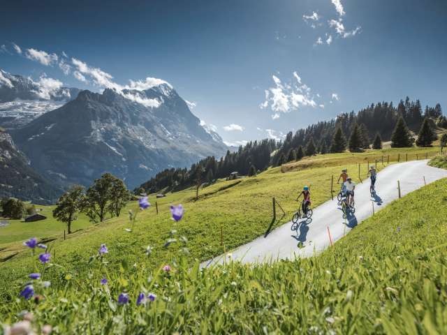 Trottibike Grindelwald