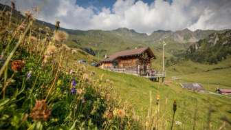 Mägi hut