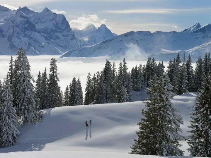 Guided snowshoe tour