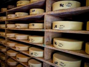 Alpine cheese aged on the Grosse Scheidegg in Grindelwald.