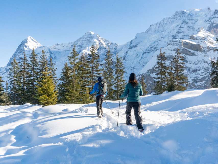 Randonnée en raquettes