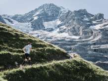 Ein Läufer auf der Bergstrecke des Jungfrau Marathons. Im Hintergrund sind vereinzelnde Schneefelder und Gletscher am Berg zu sehen.