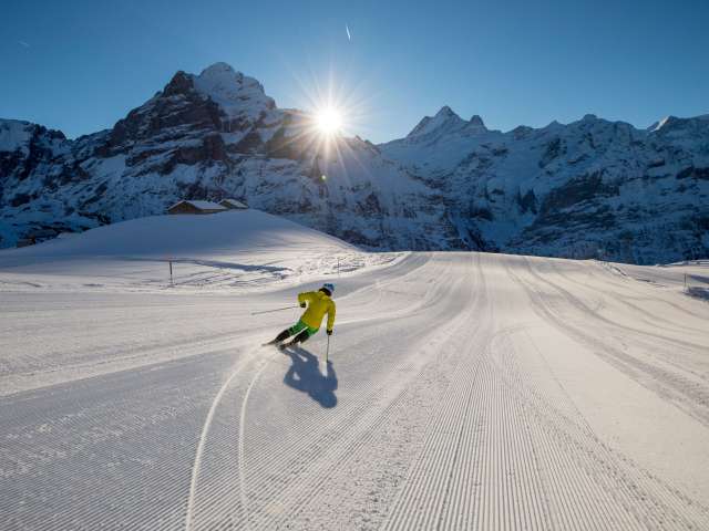 Pistenpläne Jungfrau Ski Region